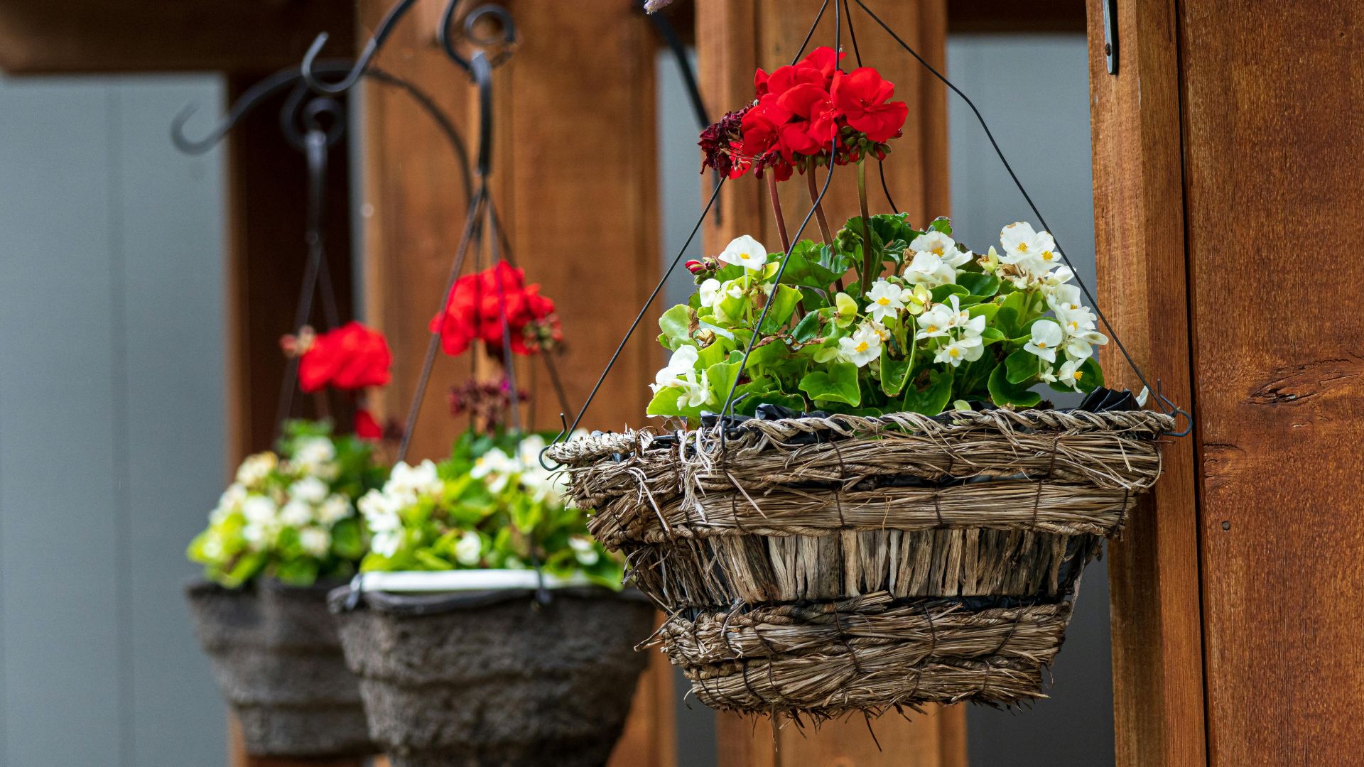 hanging basket with flowers