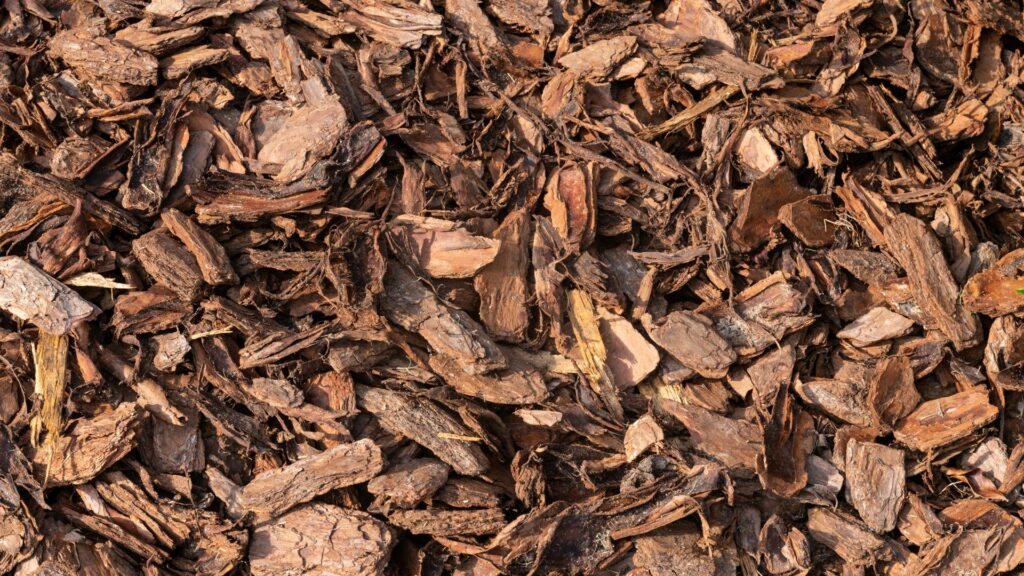 Pine Fines Mix