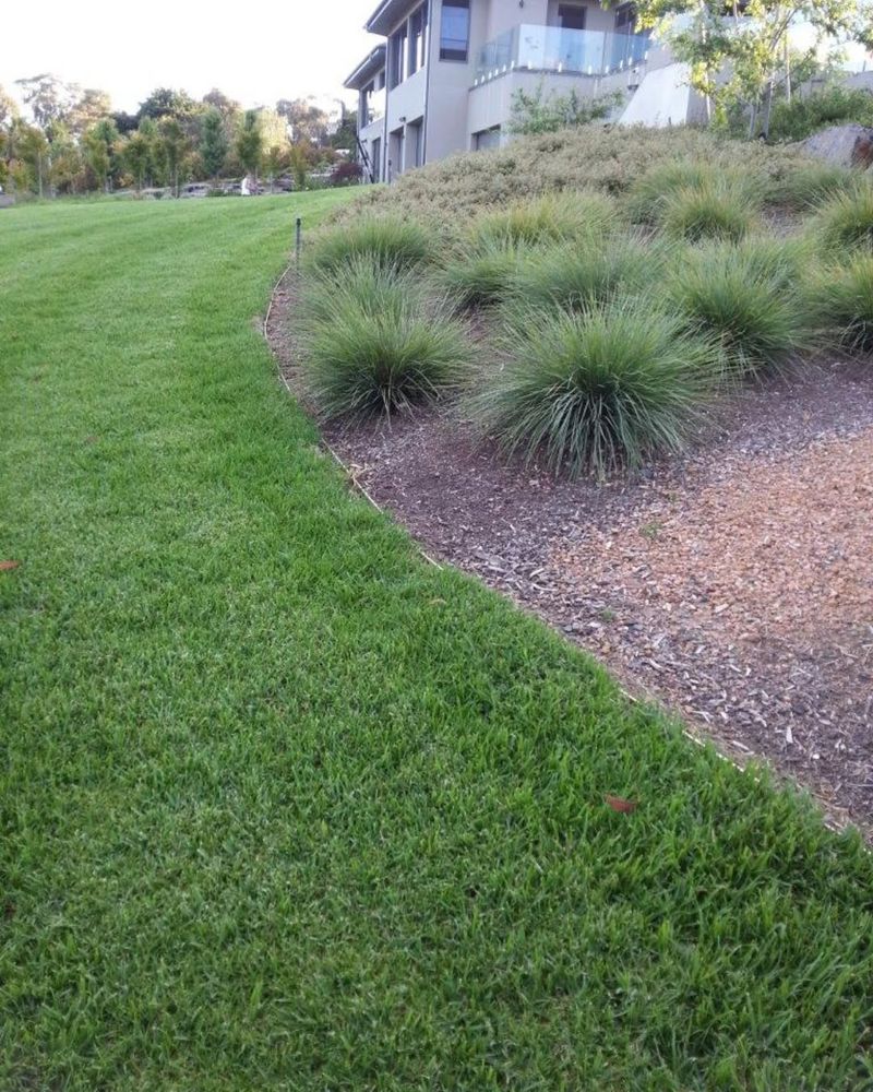 Edge The Lawn