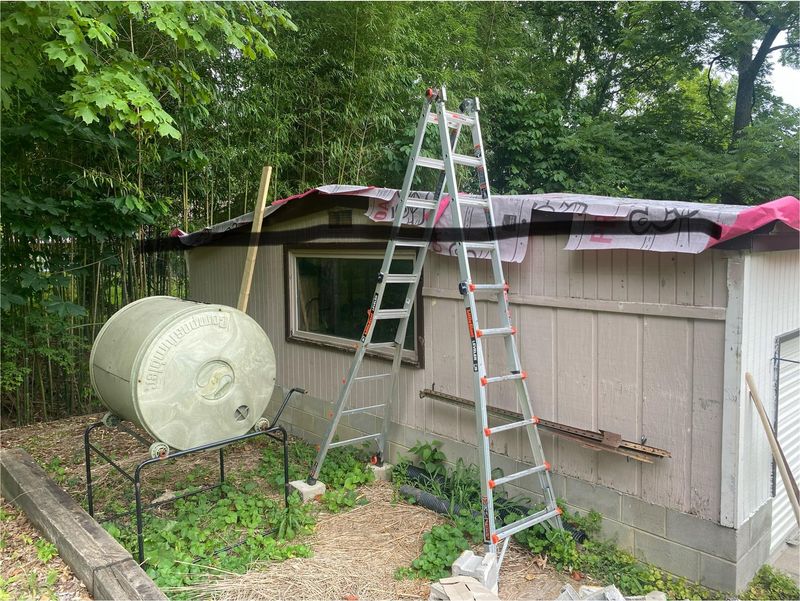 Green Roof Shed