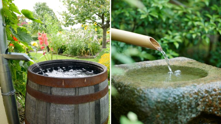 rain barrel and basin