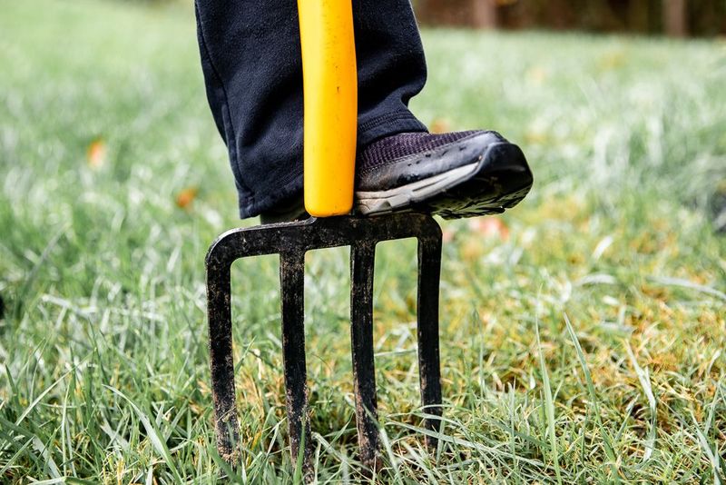 Aerating Lawns