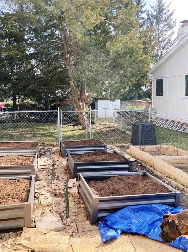 Mulched Plant Beds