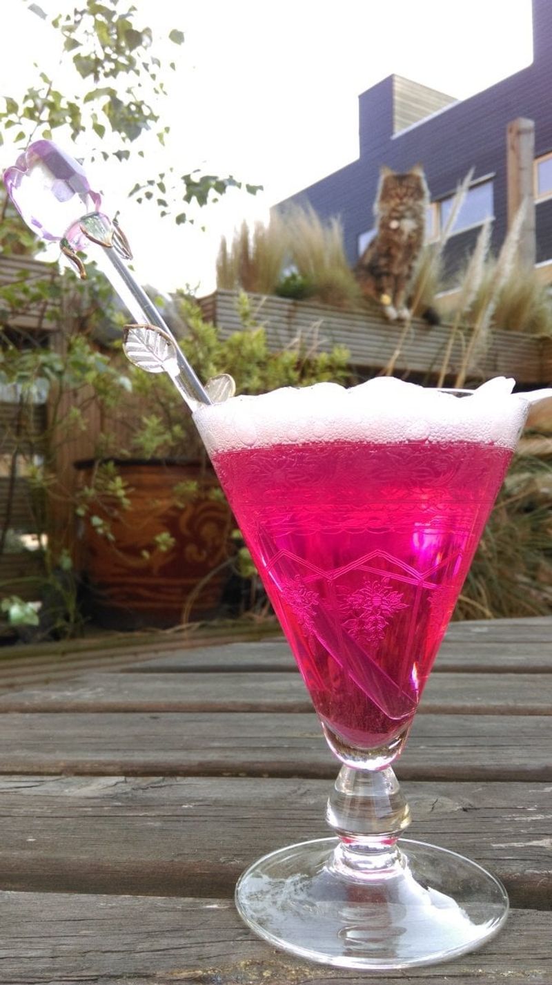 Rose Petal Cocktail Garnish