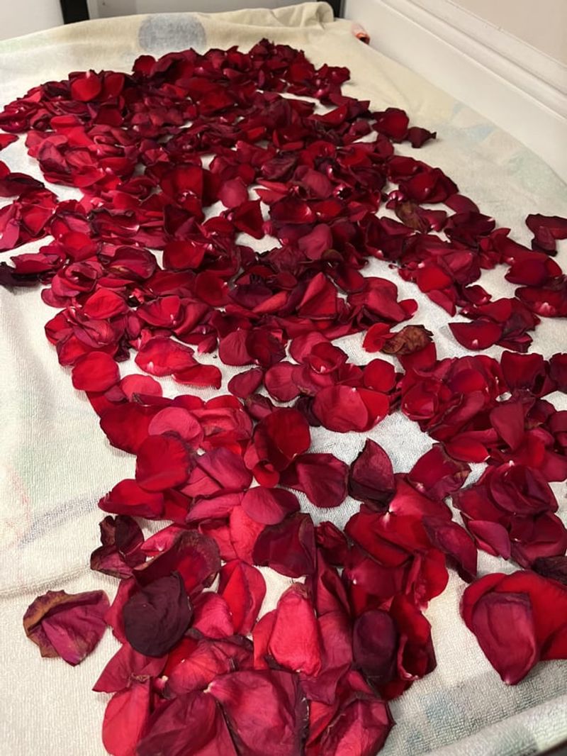 Rose Petal Incense