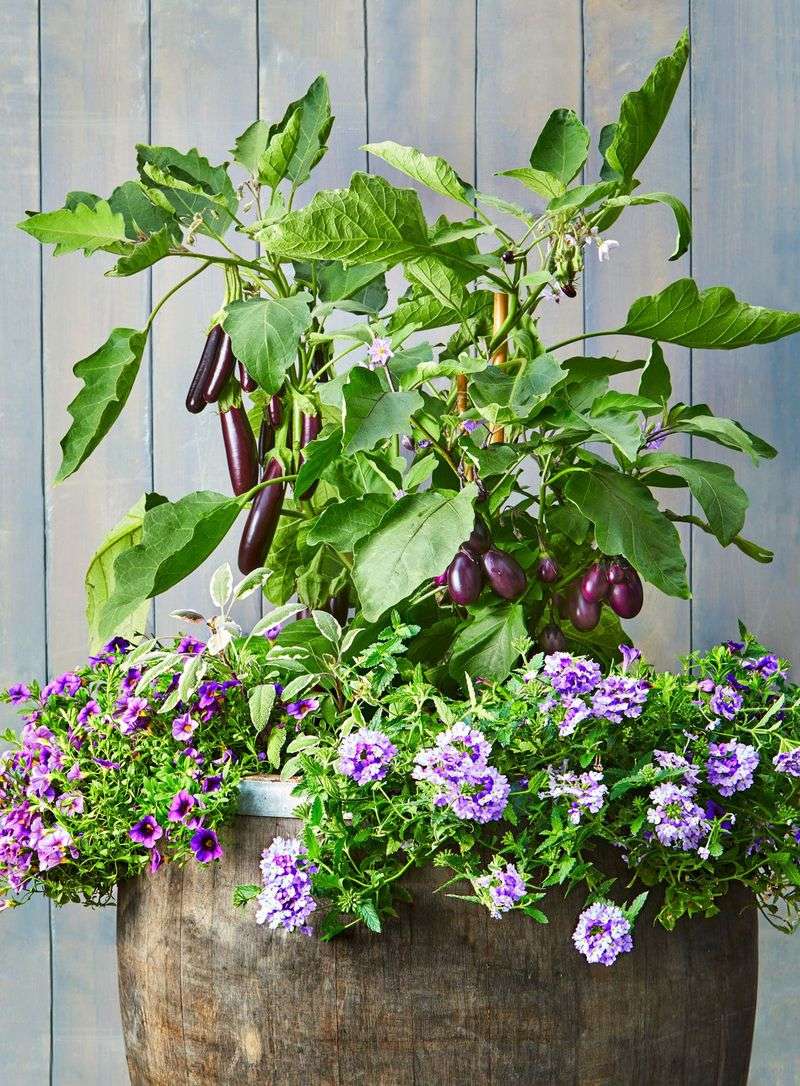 Use Companion Planting