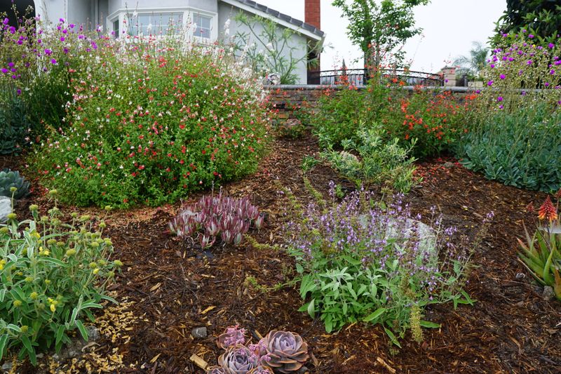 Adapt To Local Climate