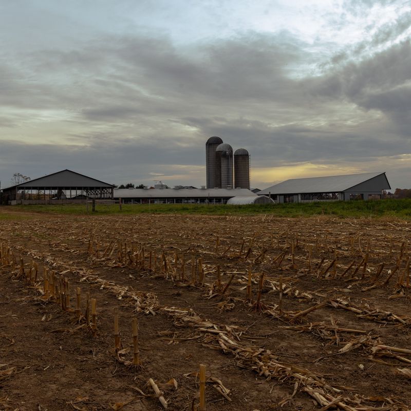 Erosion Threatens Fertile Land Globally