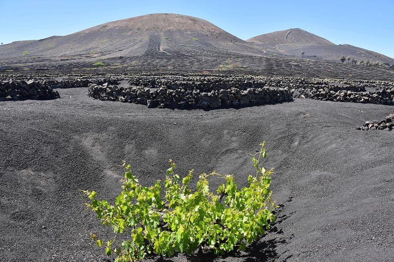 Volcanic Ash Creates Fertile Andisols