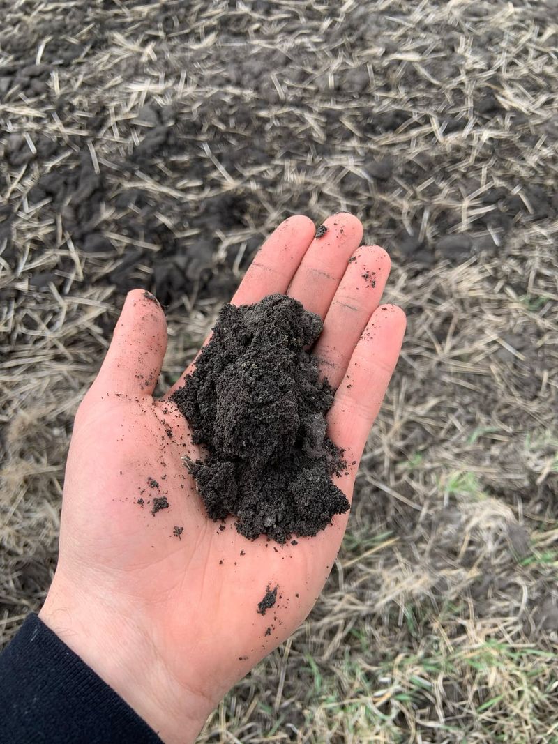 Types Include Sand, Silt, Clay, and Loam