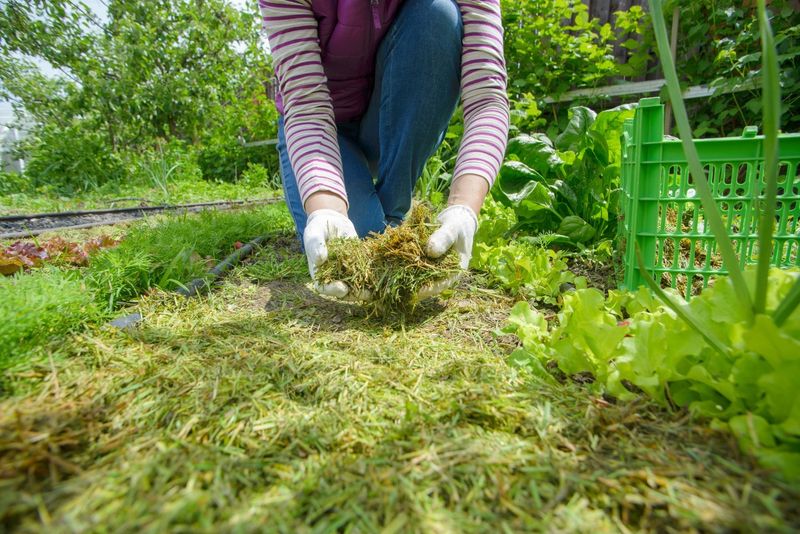 Mulch Garden Beds