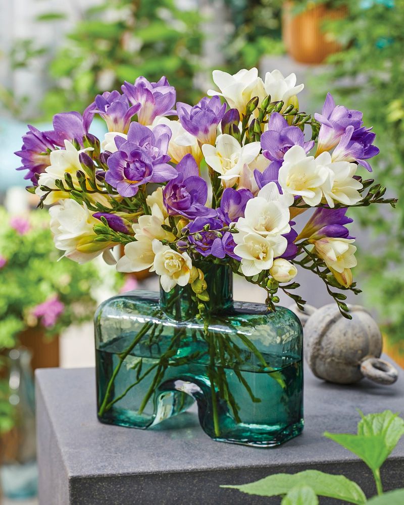 Long-Lasting Cut Flowers