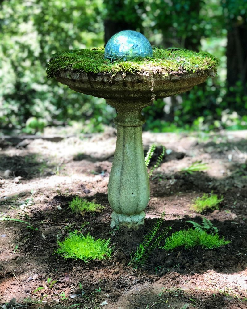 Moss Green