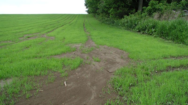 The Dust Bowl Proved Soil Conservation Matters