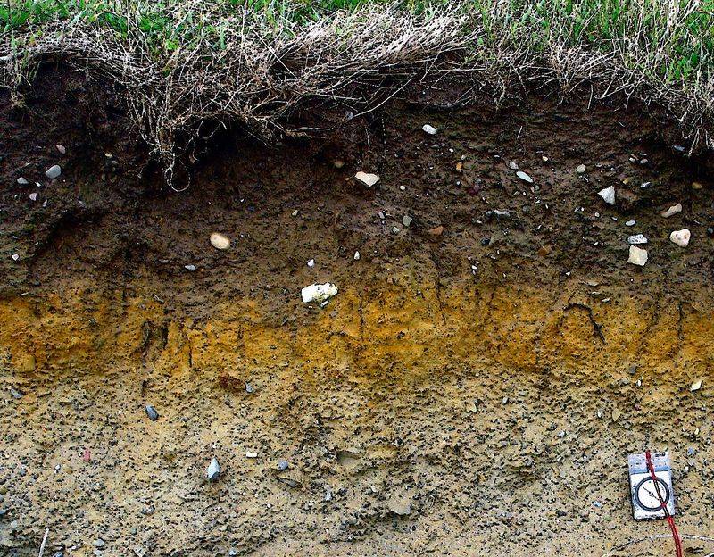 Soil Horizons Include Topsoil, Subsoil, Bedrock