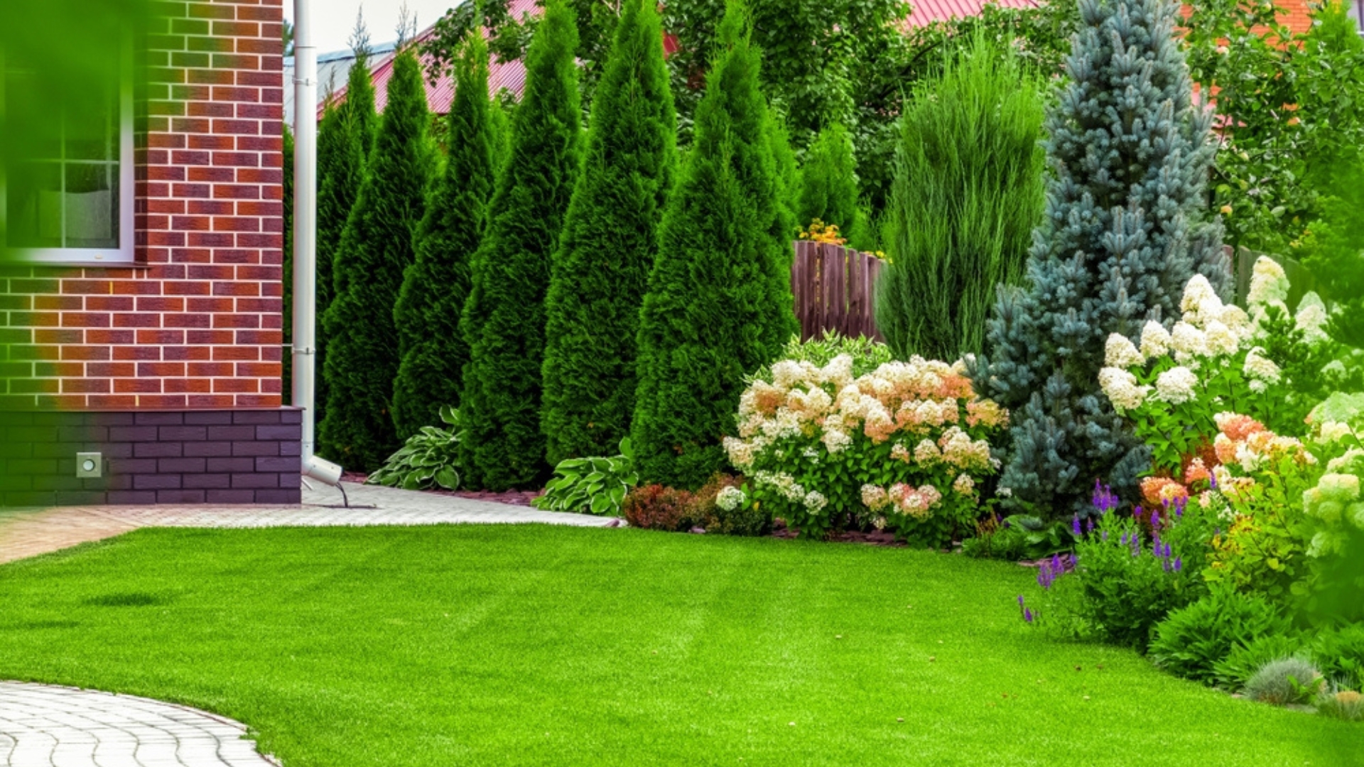 front yard