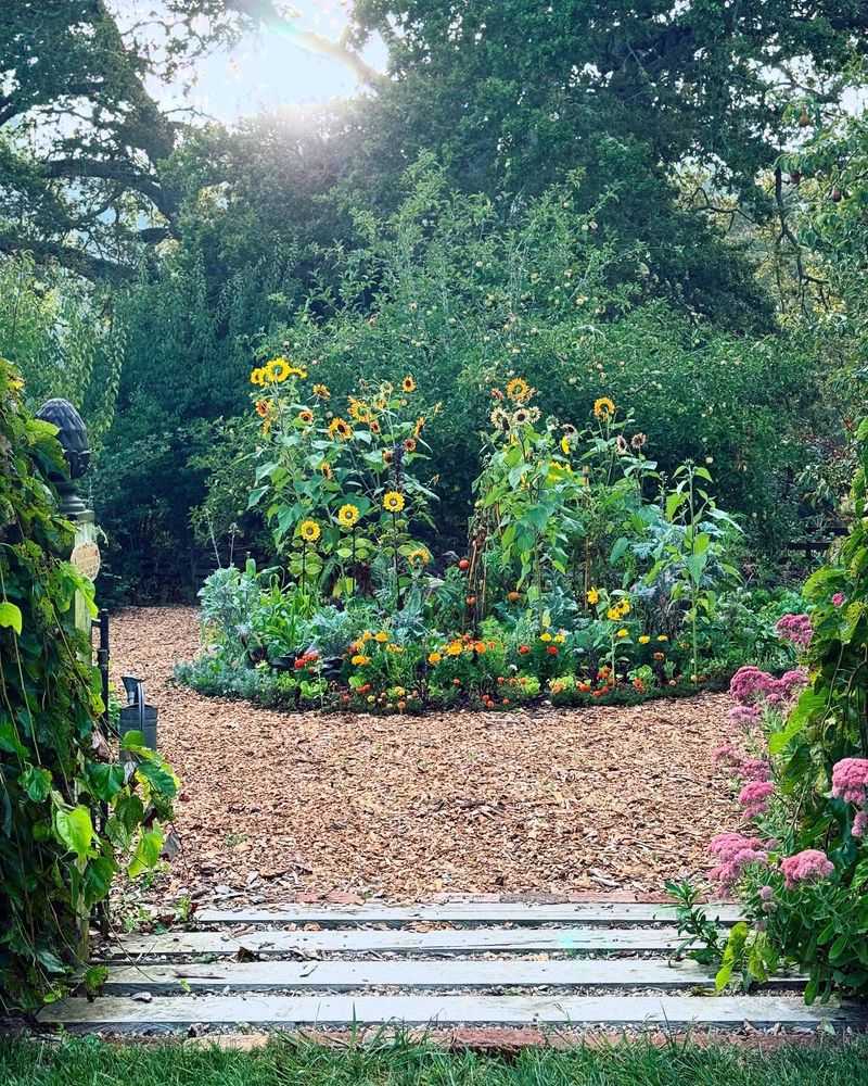 Mulch Around the Base