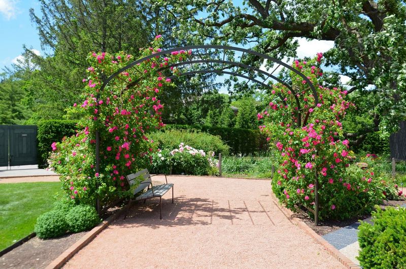 Romantic Rose Arbor