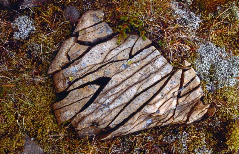 Formed By Weathering Of Rocks