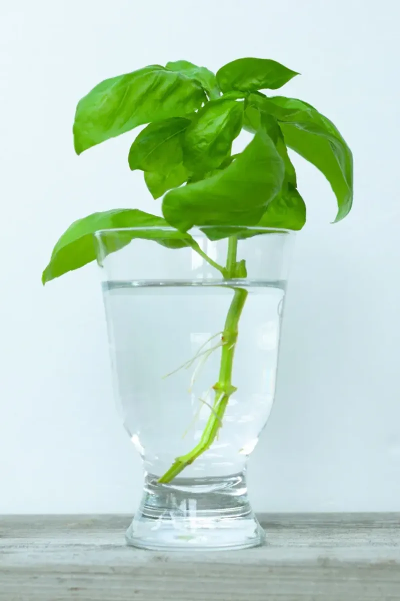 Consider Water Quality