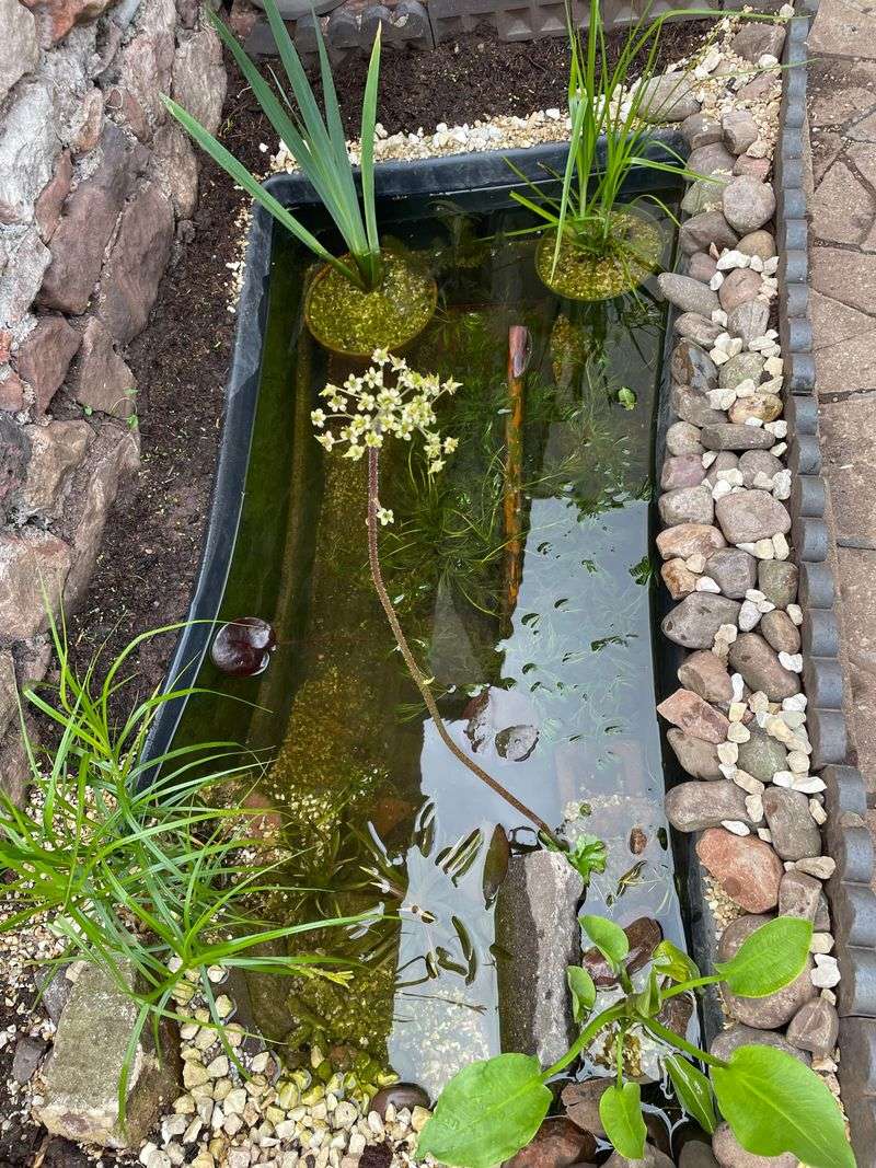 Maintain Water Features