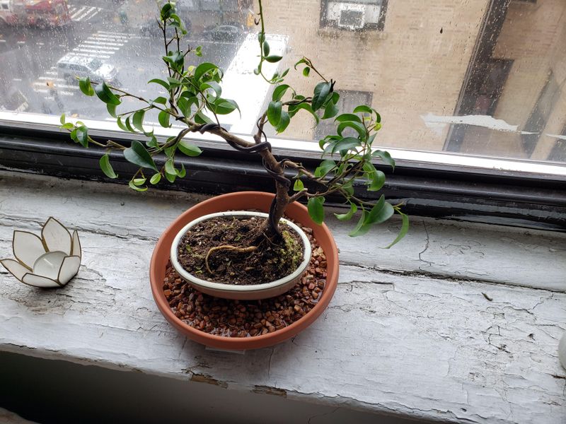 Neglecting Humidity Requirements