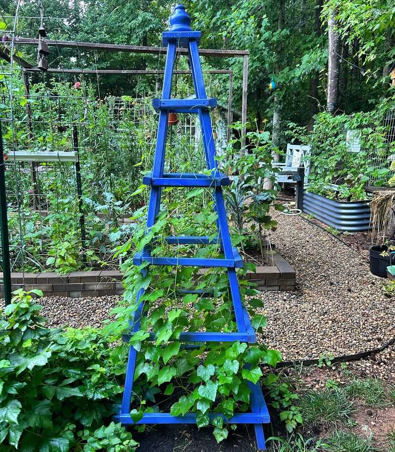 Obelisk Trellis