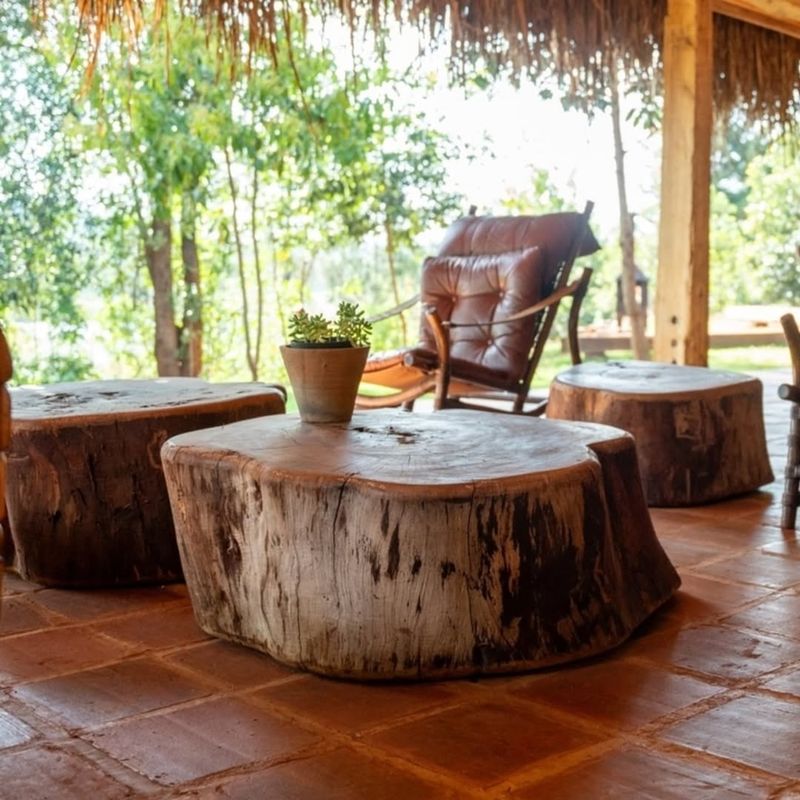 Tree Stump Seating