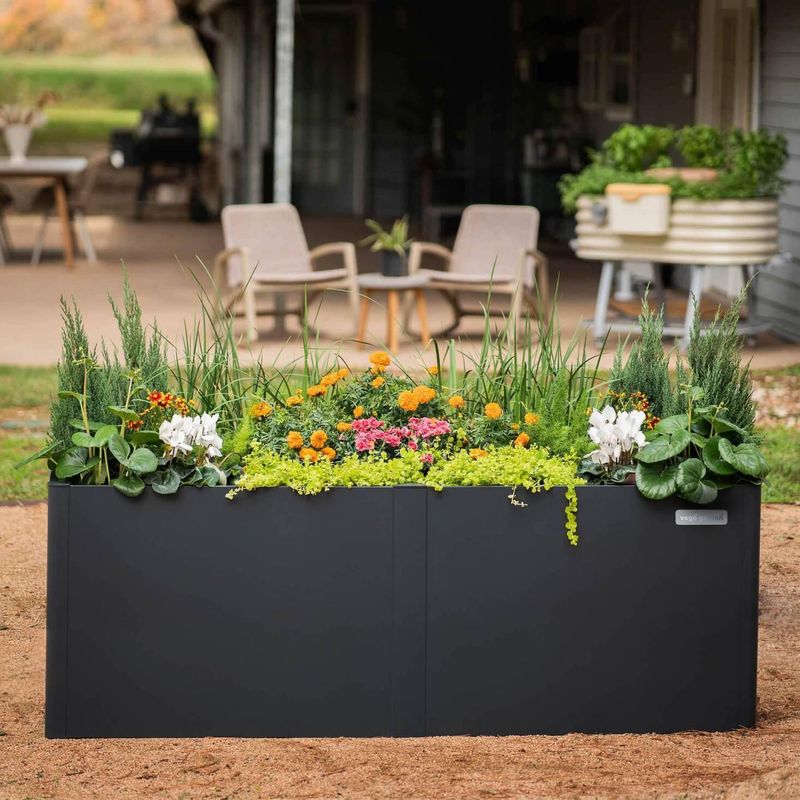 Keep Plants Elevated Off Hot Surfaces