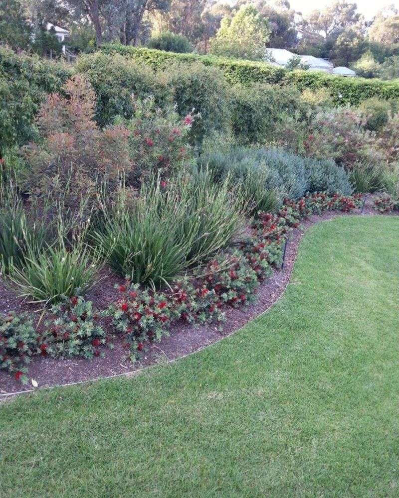 Edge Garden Borders