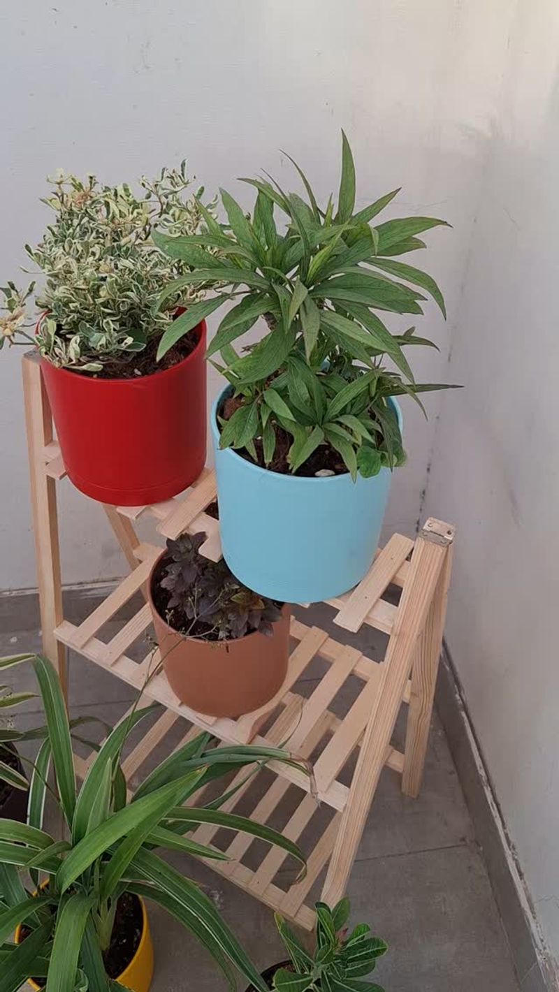 Use Pots with Good Drainage