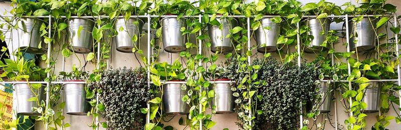 Employ Vertical Space
