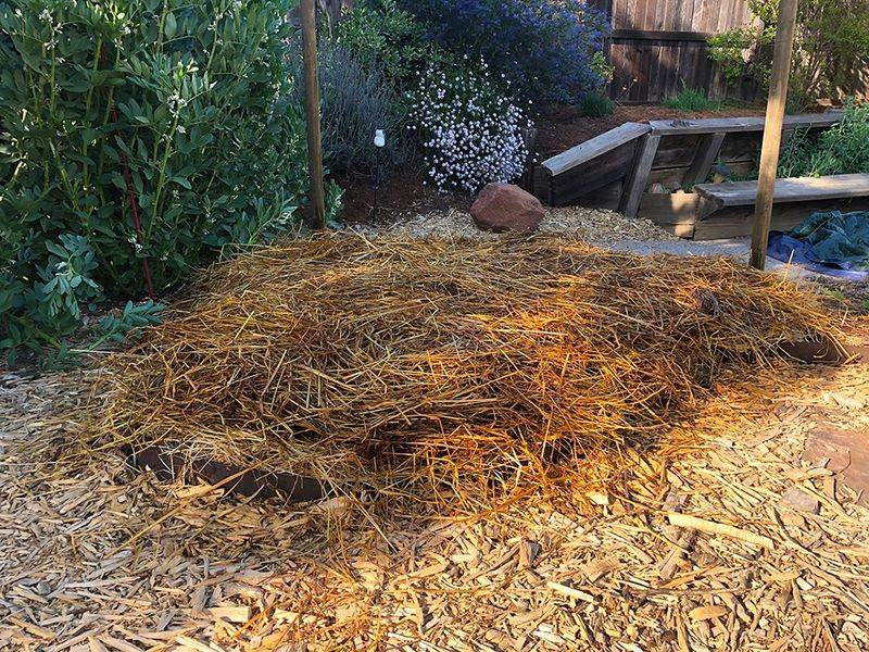 Mulch To Retain Moisture