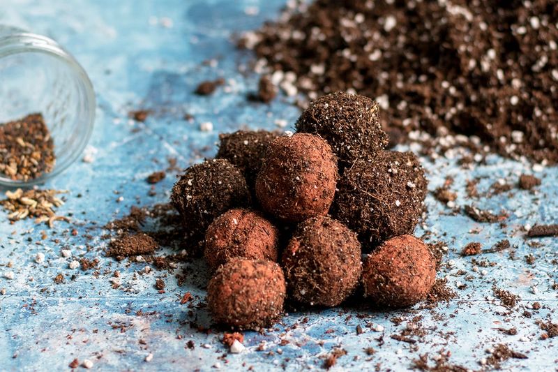 Wildflower Seed Bombs