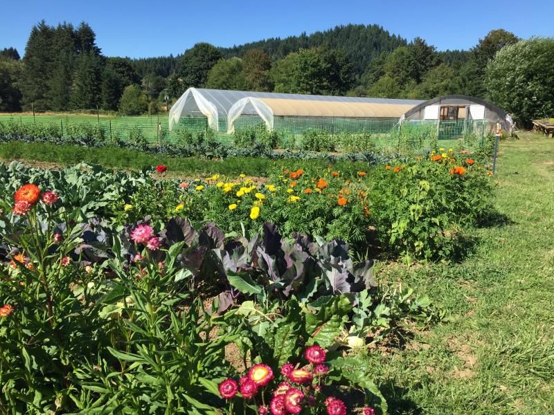 Biodynamic Farming