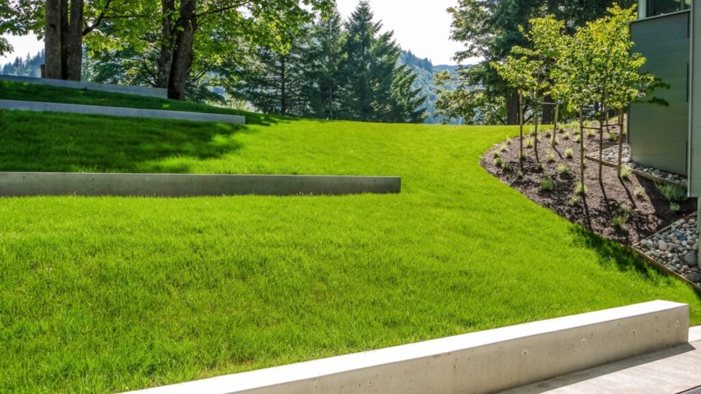 lawn slope
