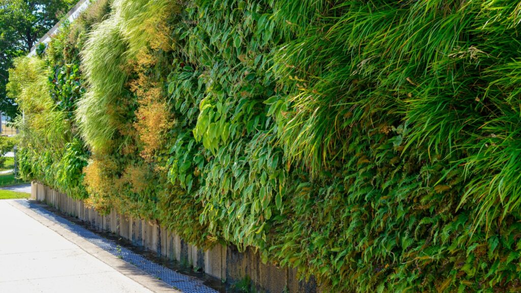 living wall