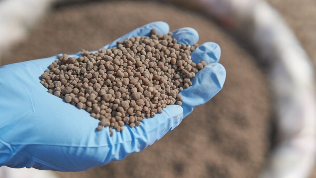 rock phosphate