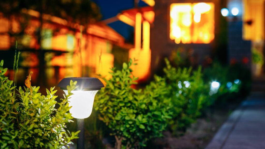 solar lights in garden