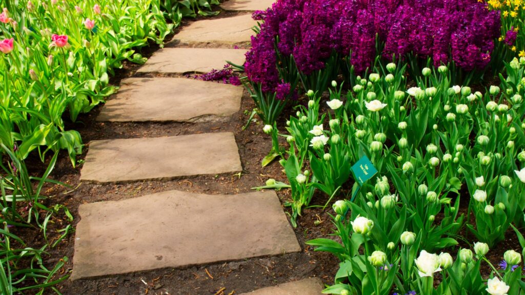 stepping stone path