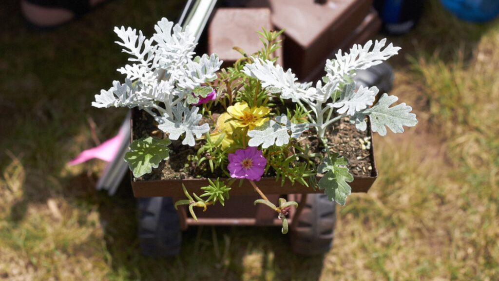 toy truck as planter