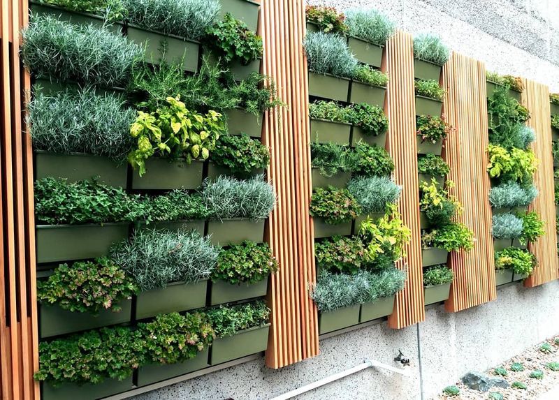 Vertical Garden Walls