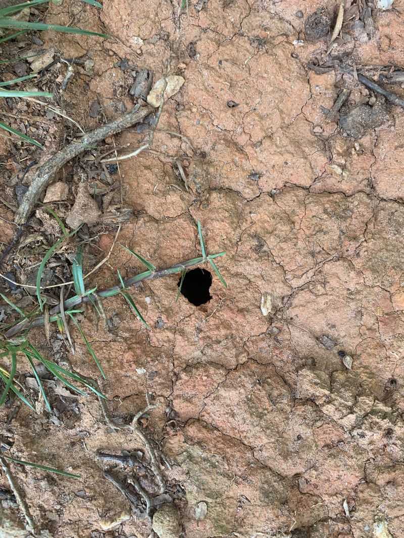 Mysterious Holes Appearing