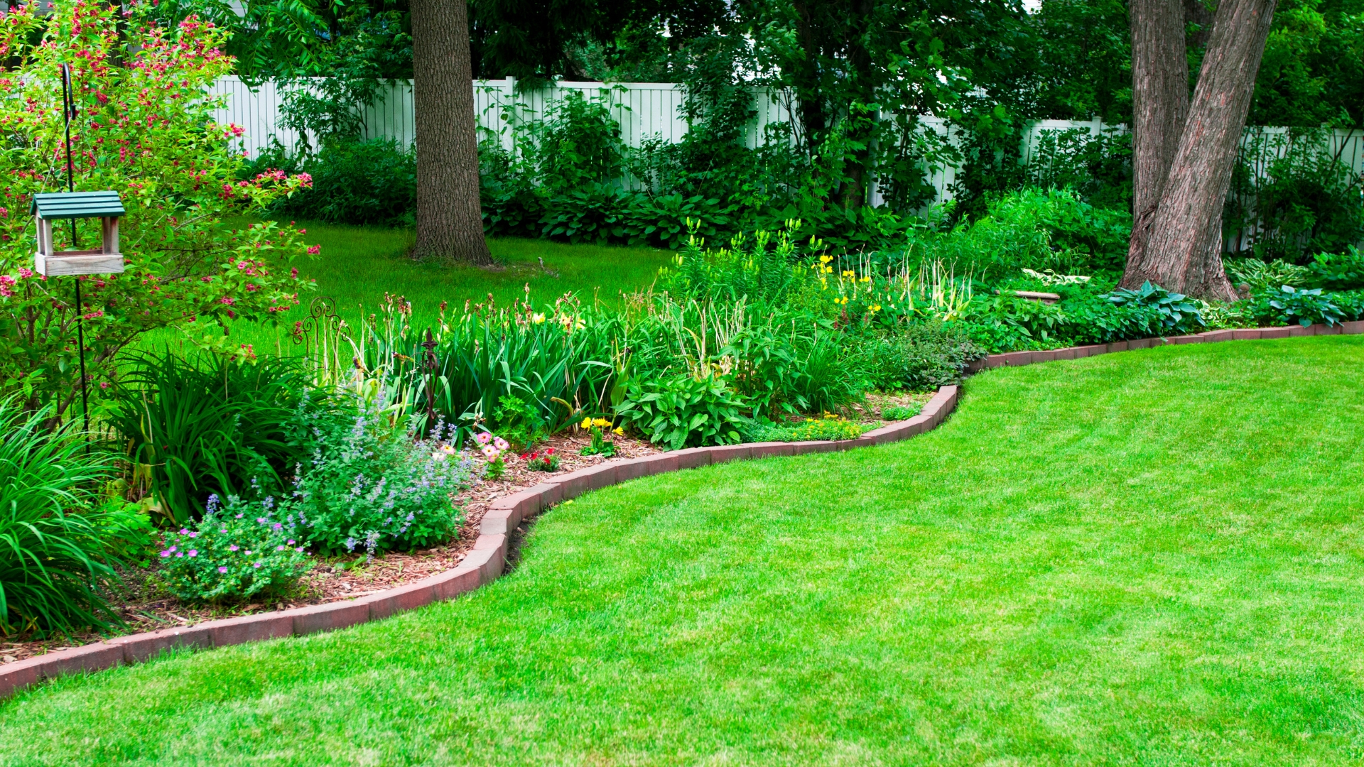 10 Essential Late Spring Lawn Care Tips For A Healthy Summer Lawn (Plus Steps To Avoid Damage)