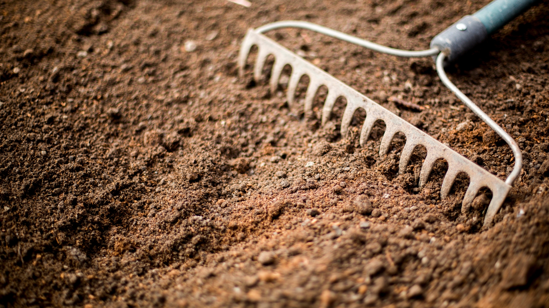 10 Landscape Staples That Quietly Degrade Soil Quality (And What You Can Use Instead)