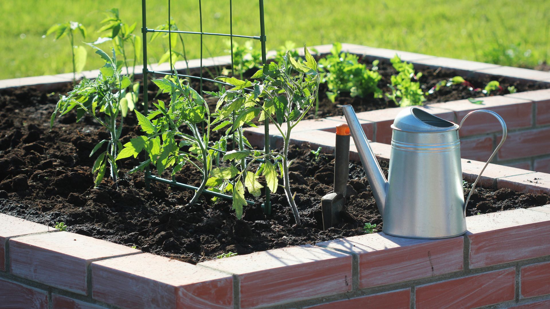 10 Worst Vegetables For Raised Beds (And 10 That Absolutely Thrive There)