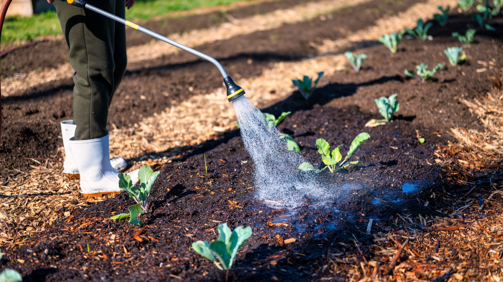 12 Little-Known Amish Garden Techniques For Healthier Plants (And Many More To Try)