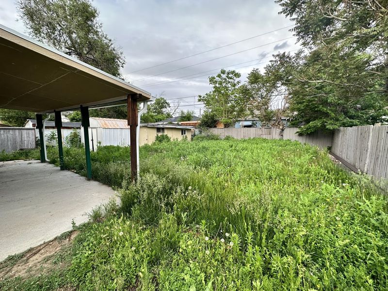 Overgrown or Neglected Lawn