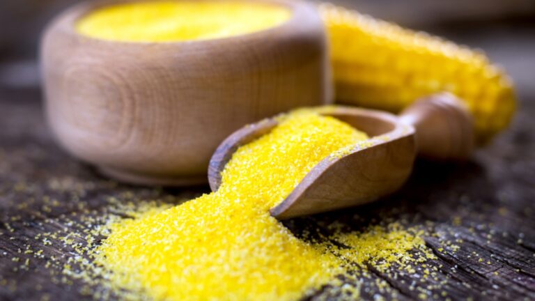 cornmeal in a wooden spoon