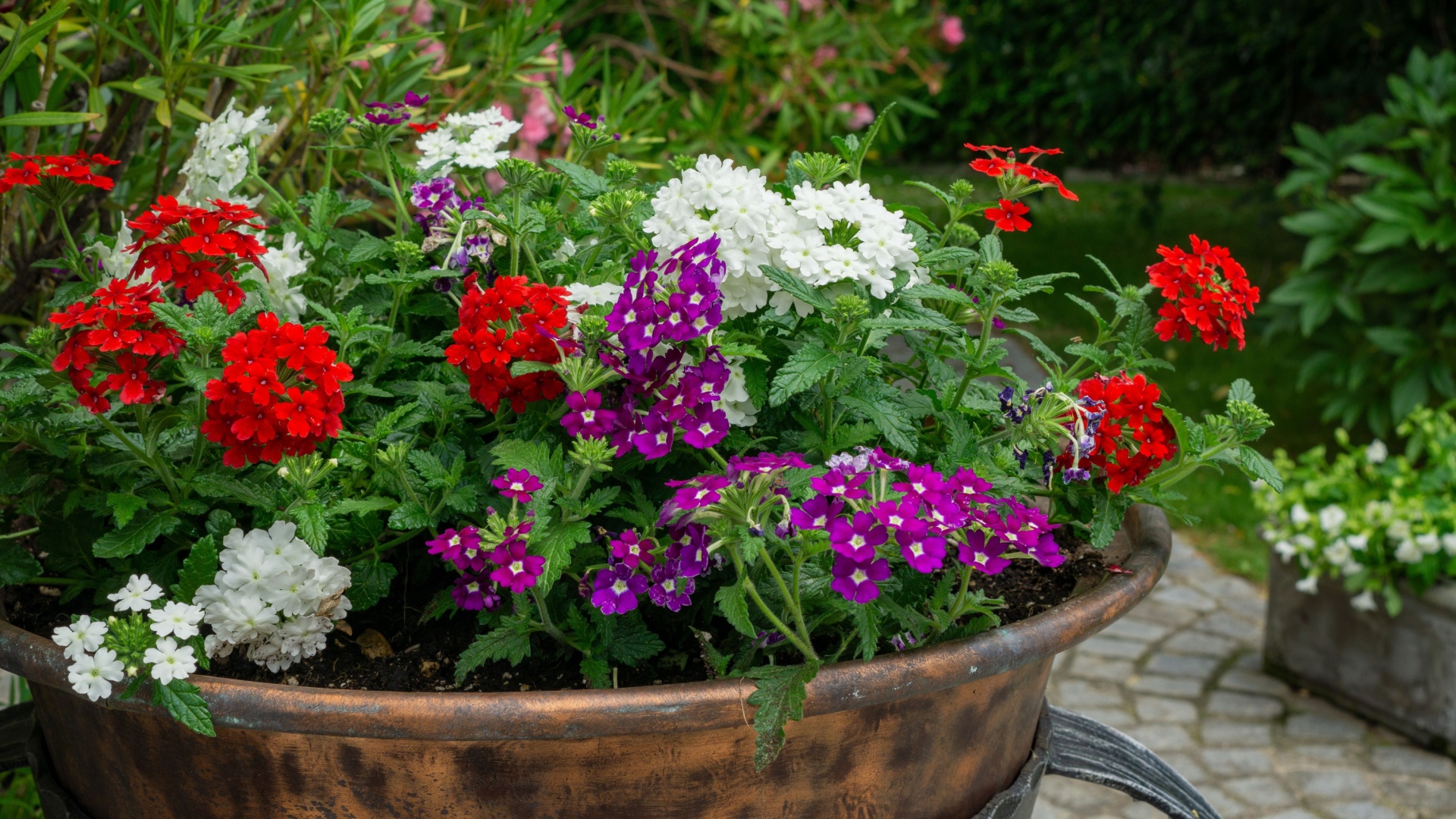 flowers in a container
